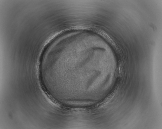 X0000112090436200909011107