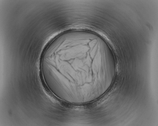X0000112090438200909011107