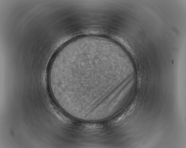X0000112090439200909011107