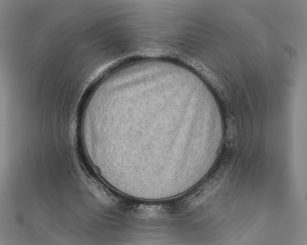 X0000112090440200909011107