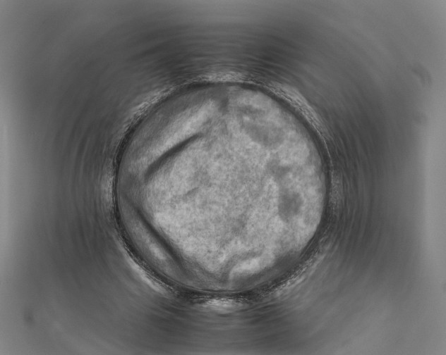 X0000112090441200909011107