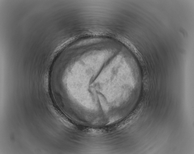 X0000112090442200909011107