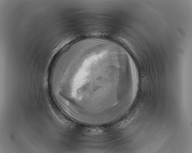 X0000112090443200909011107