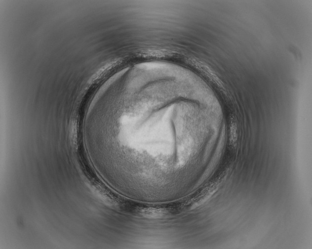 X0000112090444200909011107