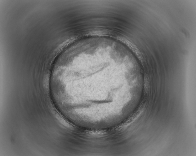X0000112090445200909011107