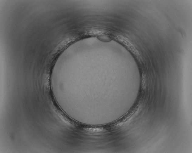 X0000112090449200909011107