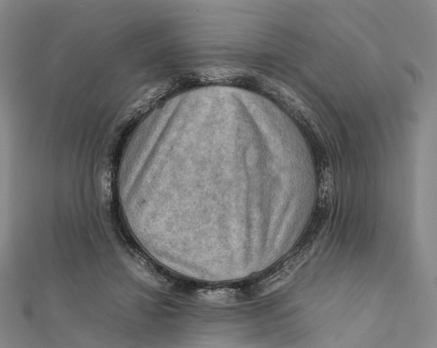 X0000112090452200909011107
