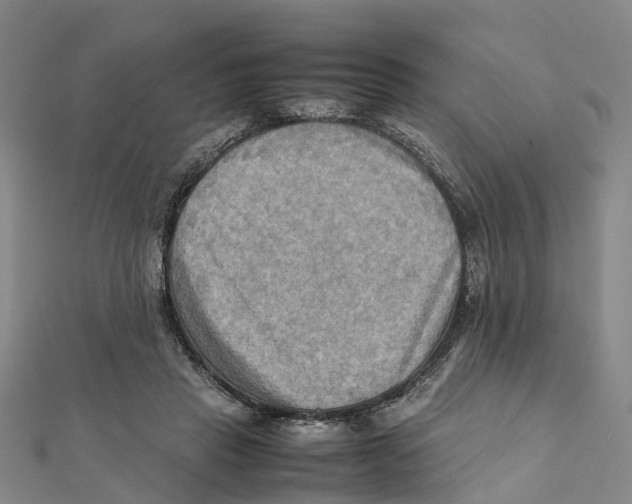X0000112090453200909011107