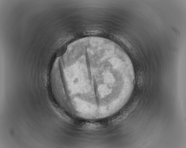 X0000112090455200909011108