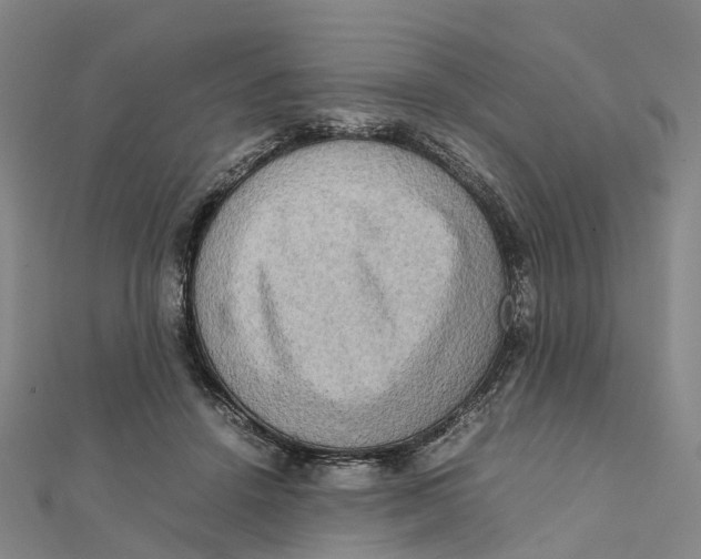 X0000112090456200909011108