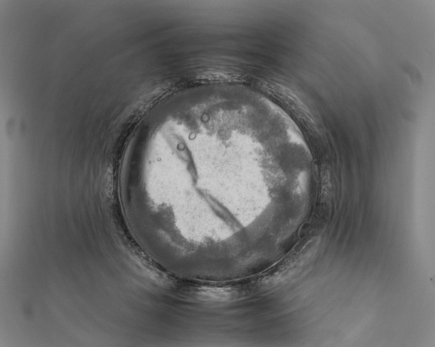 X0000112090457200909011108