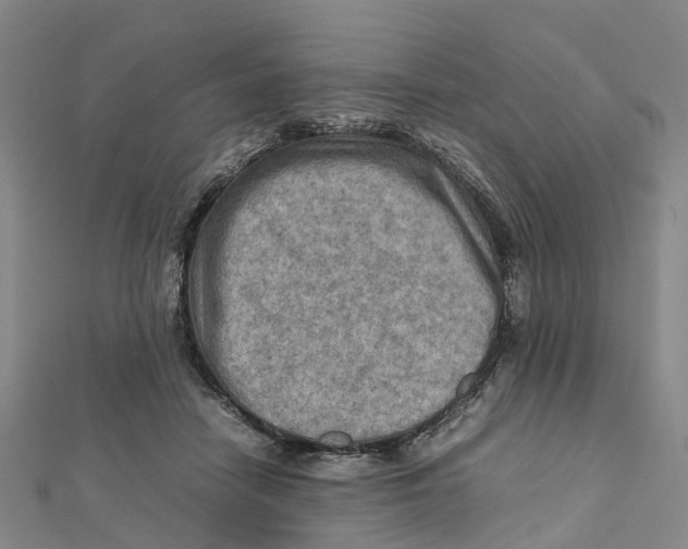 X0000112090458200909011108