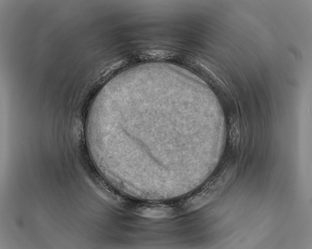 X0000112090459200909011108