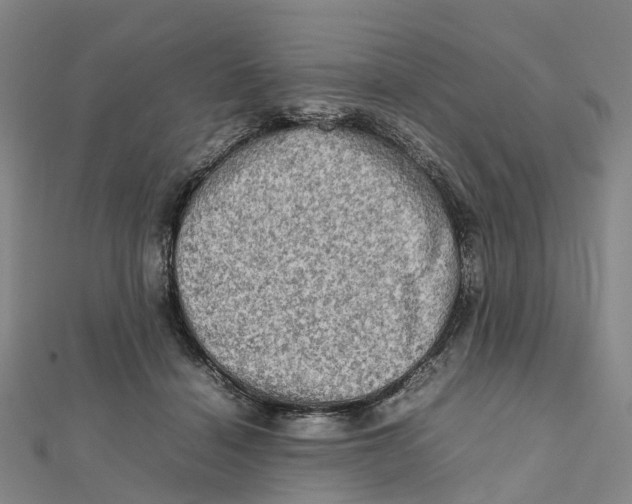 X0000112090460200909011108