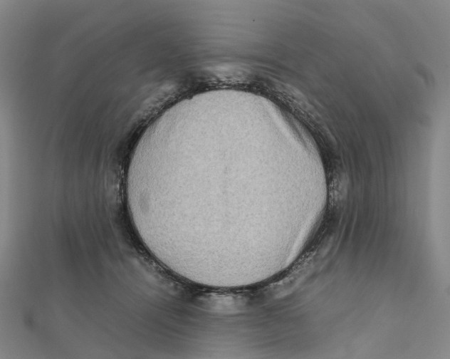 X0000112090464200909011108