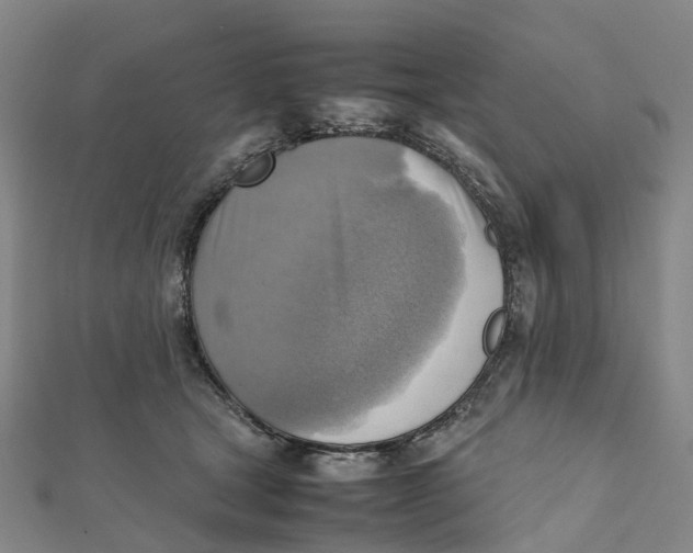 X0000112090465200909011108