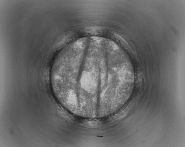 X0000112090466200909011108