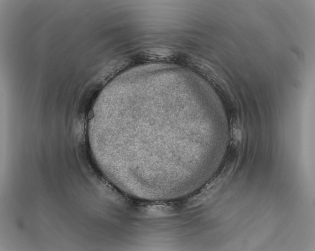 X0000112090468200909011108