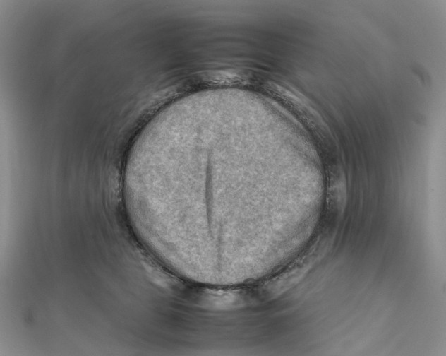 X0000112090469200909011108