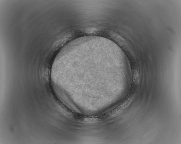 X0000112090470200909011108