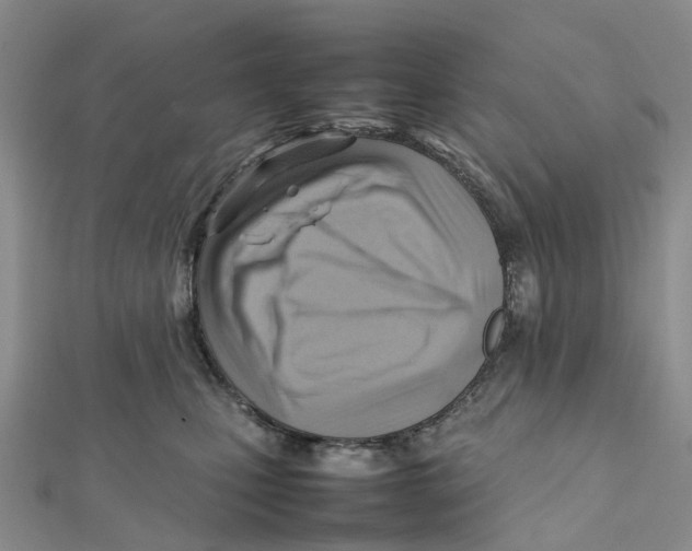 X0000112090471200909011108