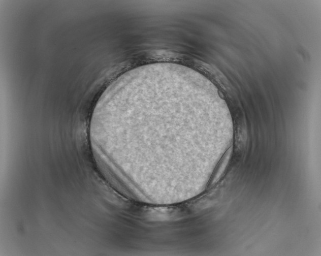 X0000112090473200909011108