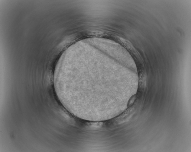 X0000112090474200909011108