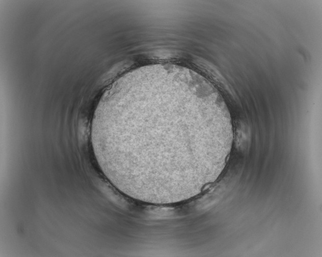X0000112090476200909011108