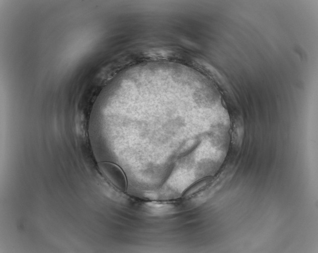 X0000112090477200909011108