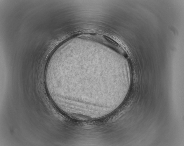 X0000112090481200909011107