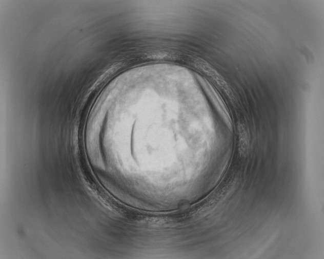 X0000112090482200909011107