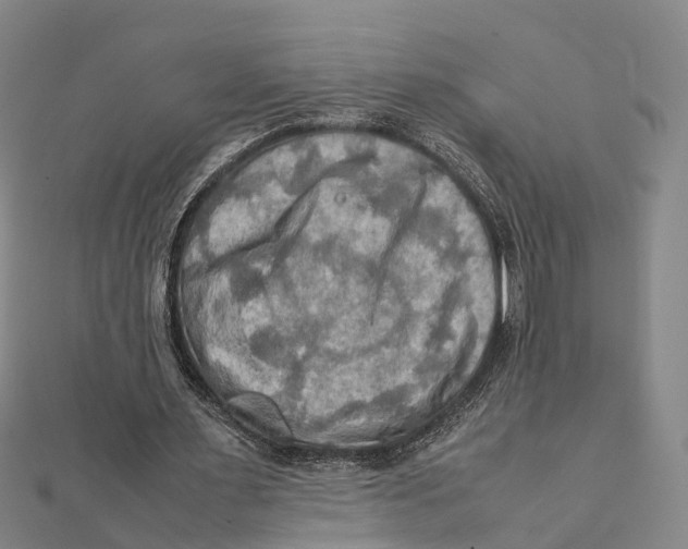 X0000112090483200909011107