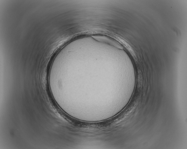 X0000112090485200909011107
