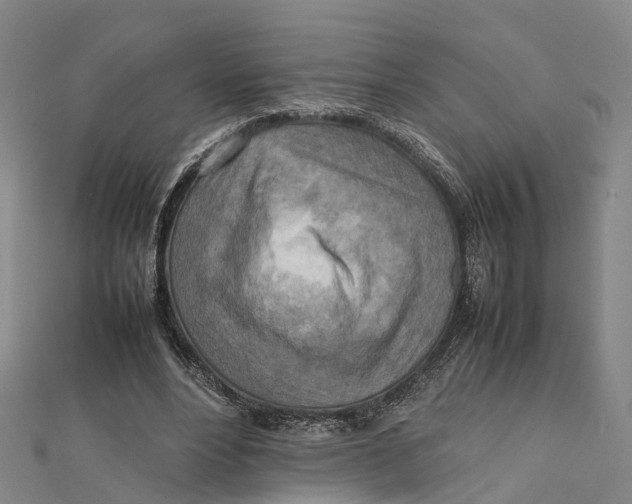 X0000112090488200909011107