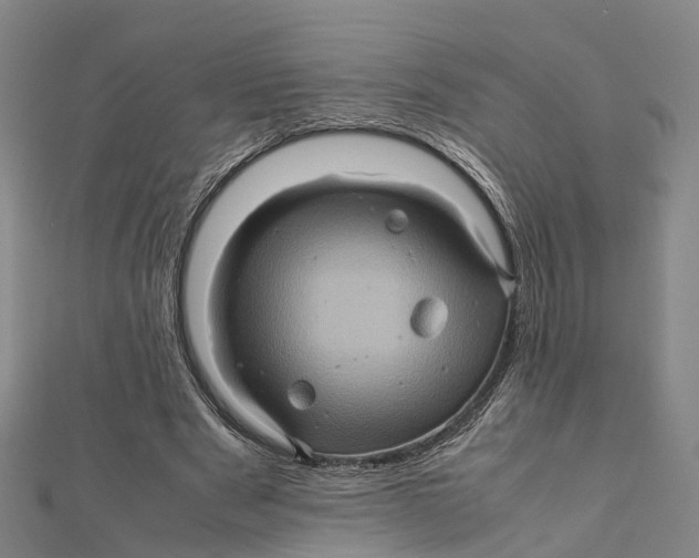 X0000112090489200909011107