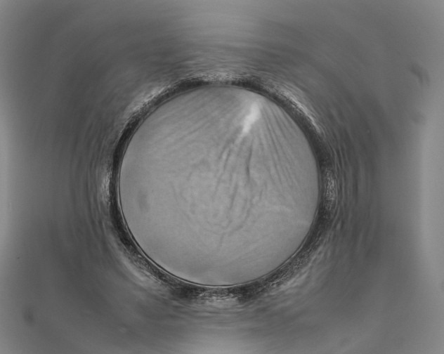 X0000112090491200909011107