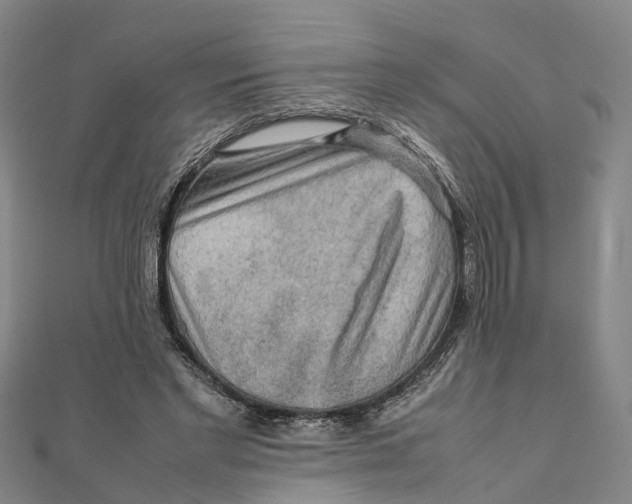 X0000112090493200909011107