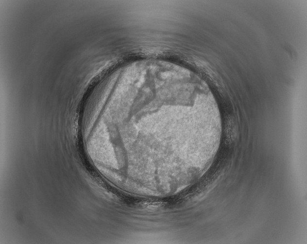 X0000112090495200909011107