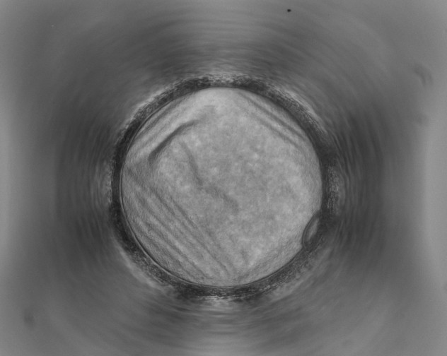 X0000112090496200909011107
