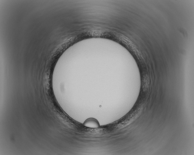 X0000112090497200909011107