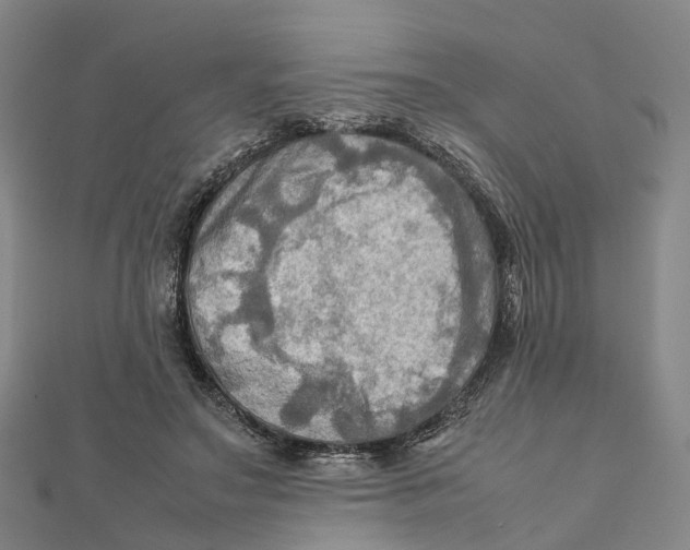 X0000112090499200909011107