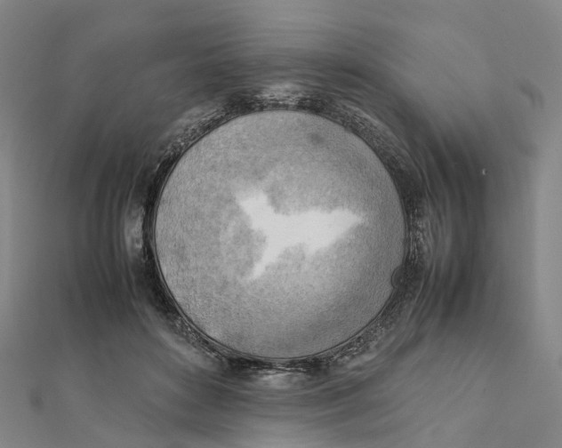 X0000112090504200909011107