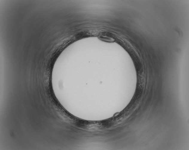 X0000112090505200909011107