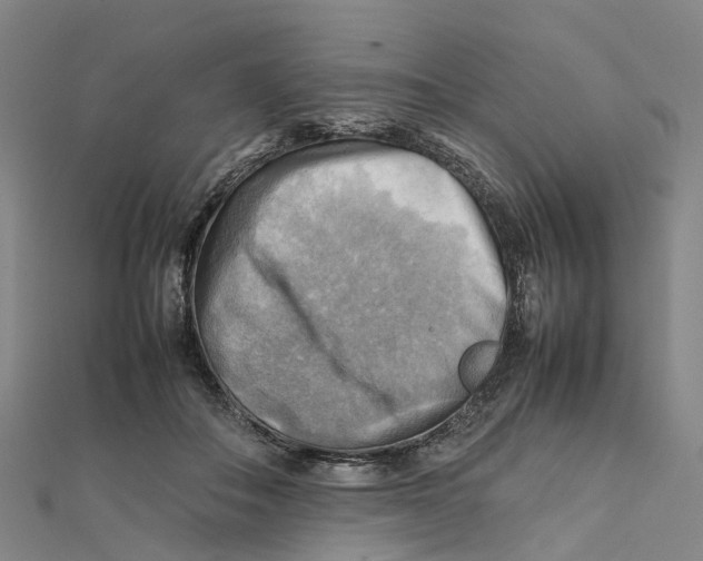 X0000112090506200909011107