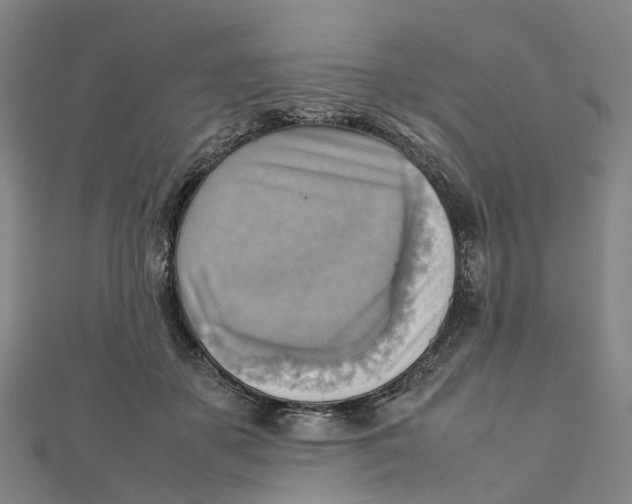 X0000112090507200909011107