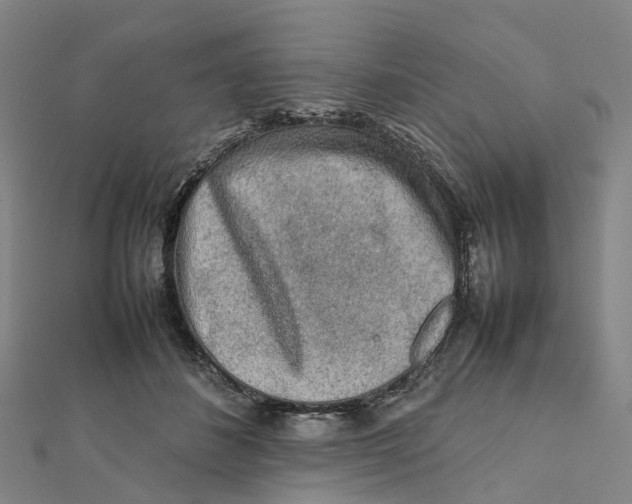 X0000112090508200909011107