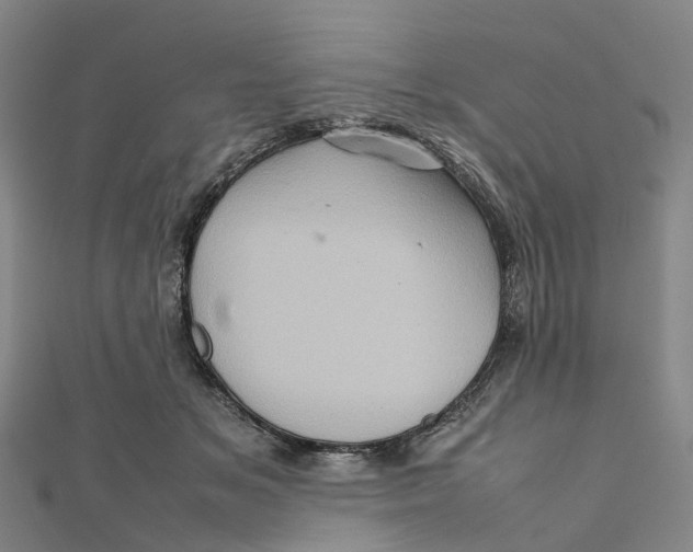 X0000112090509200909011107