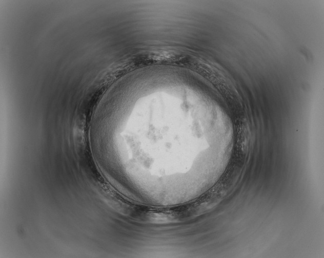 X0000112090510200909011107