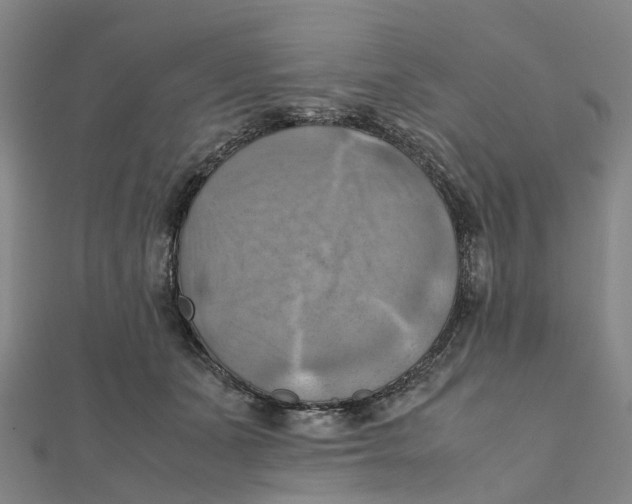 X0000112090511200909011107