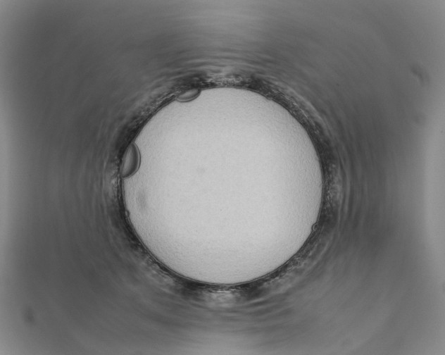 X0000112090513200909011107